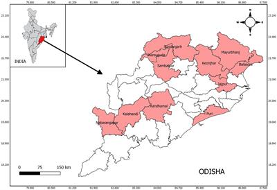 Seroprevalence of human brucellosis among the tribal and non-tribal population residing in an eastern state of India: Findings from the state-wide serosurvey